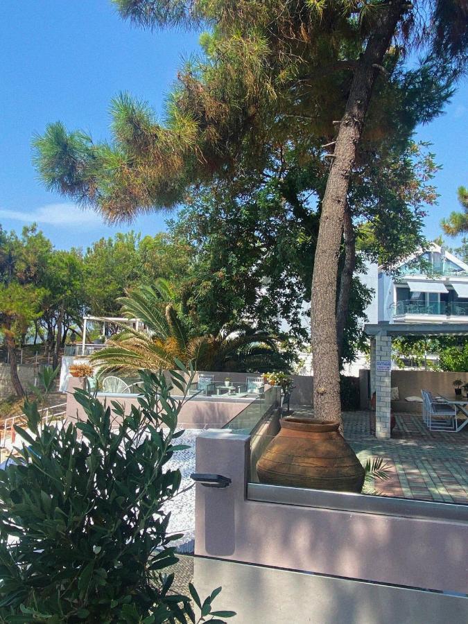 Ktima Papaoikonomou 2 Διαμέρισμα Ποτός Εξωτερικό φωτογραφία